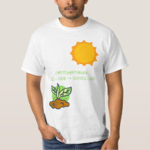 Photosynthesis