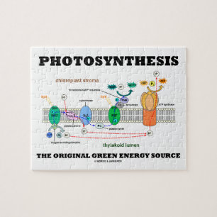 Photosynthesis The Original Green Energy Source Jigsaw Puzzle