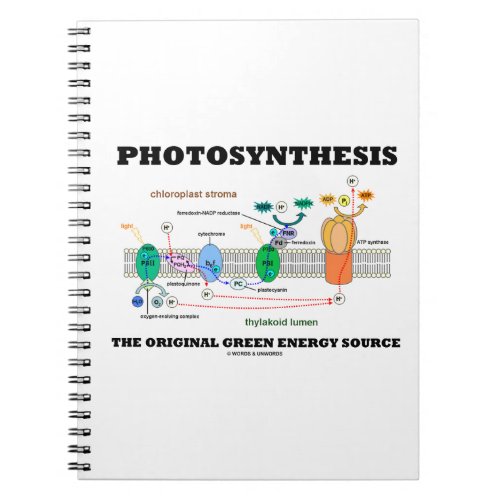 Photosynthesis The Original Green Energy Source Notebook
