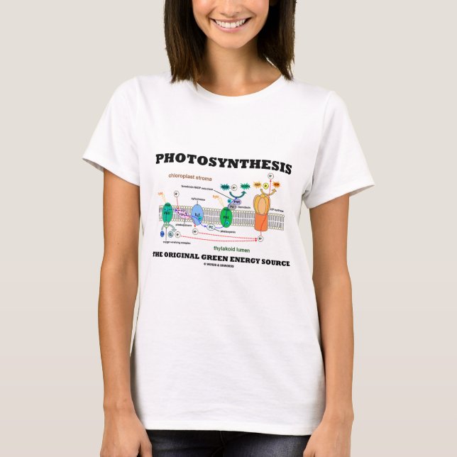 Photosynthesis The Original Green Energy Source T-Shirt (Front)