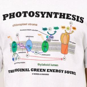 Photosynthesis The Original Green Energy Source T-Shirt