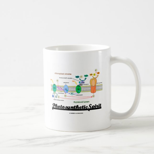 Photosynthetic Spirit (Biochemistry Attitude) Coffee Mug (Right)