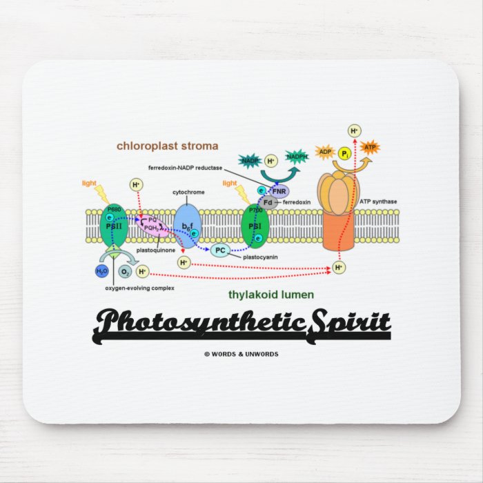 Photosynthetic Spirit (Biochemistry Attitude) Mouse Pad