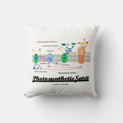 Photosynthetic Spirit Biochemistry Attitude Throw Pillow