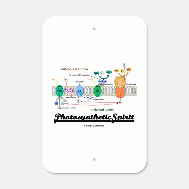 Photosynthetic Spirit Light Dependent Reactions Metal Sign (Front)