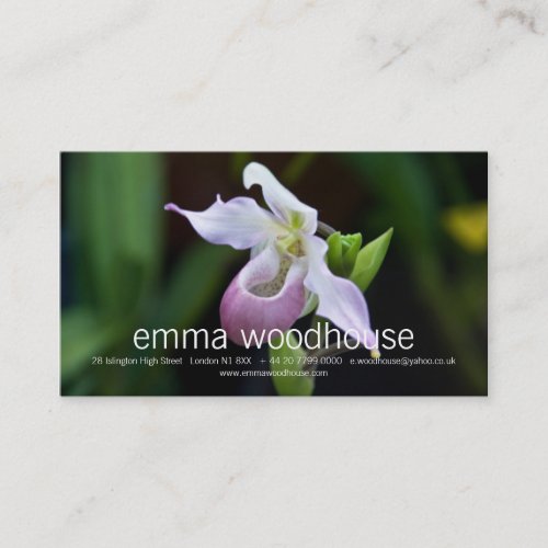 Phragmipedium Orchid Business Card