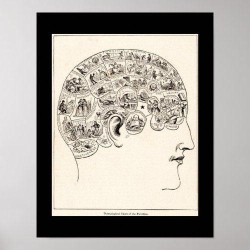 Phrenological chart of the faculties vintage art