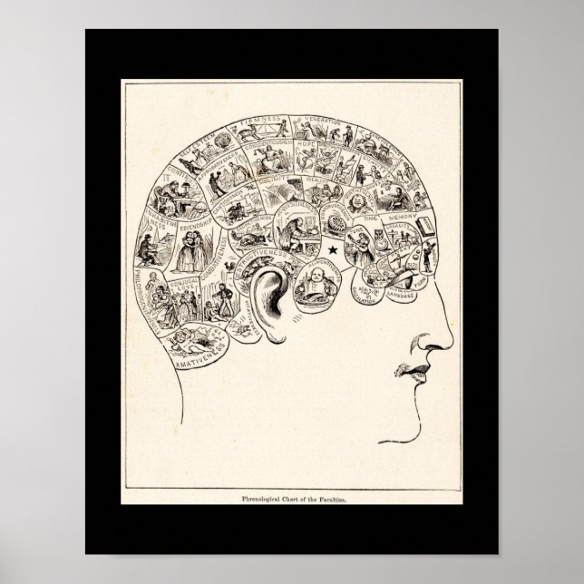 Phrenological chart of the faculties, vintage art (Front)