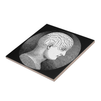 Phrenology Head Diagram Ceramic Tile