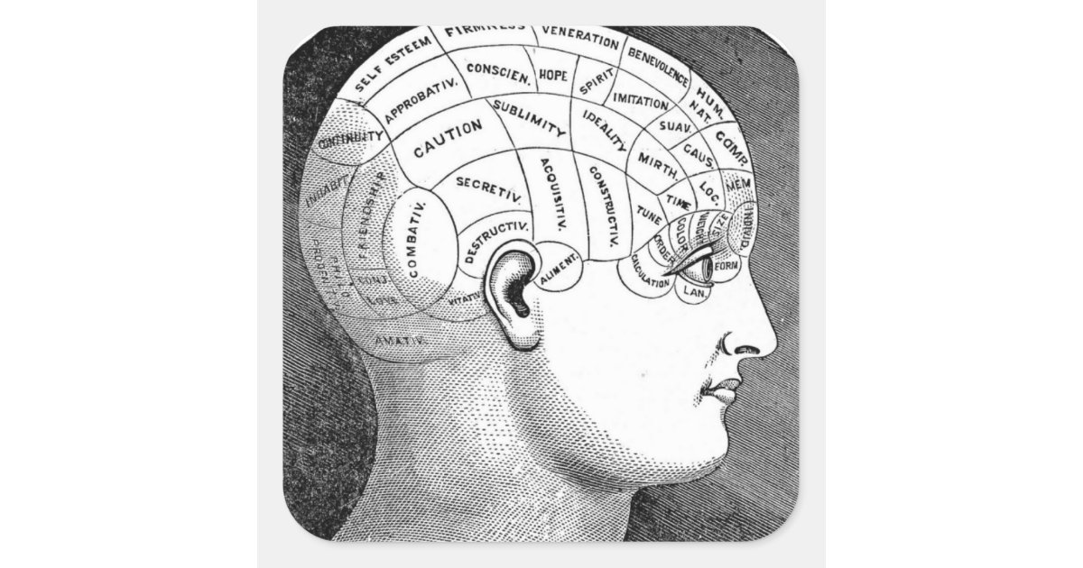 Phrenology Head Diagram Square Sticker | Zazzle