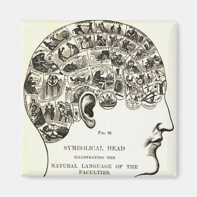 Phrenology Magnet (Front)