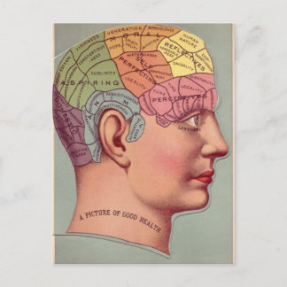 Phrenology Map for Good Health Postcard