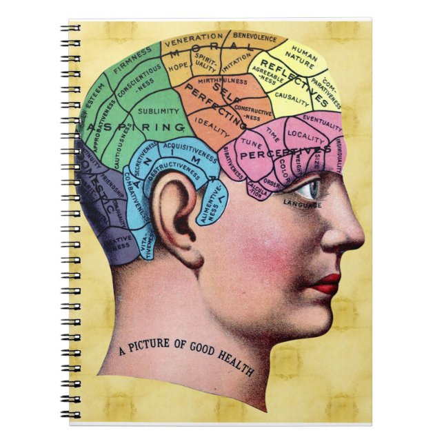 Phrenology Notebook (Front)