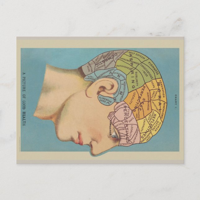 Phrenology Postcard (Front)