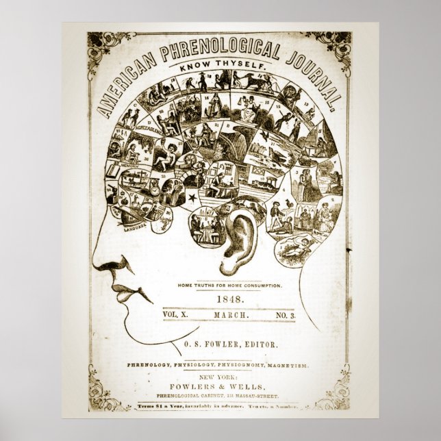 Phrenology Poster (Front)