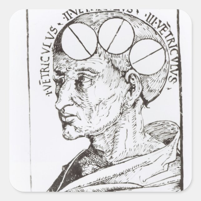 Phrenology Square Sticker (Front)