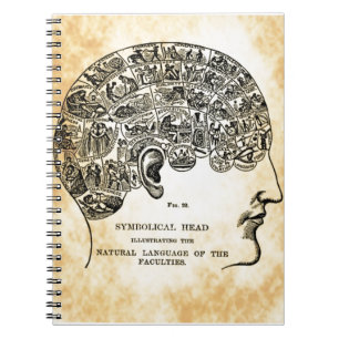 Phrenology Steampunk Vintage Notebook