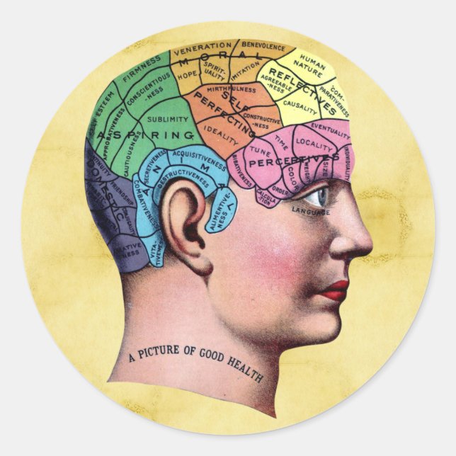 Phrenology Sticker (Front)