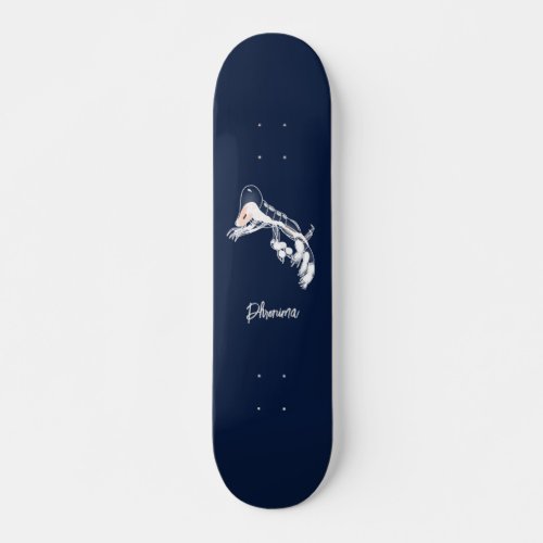 Phronima  skateboard