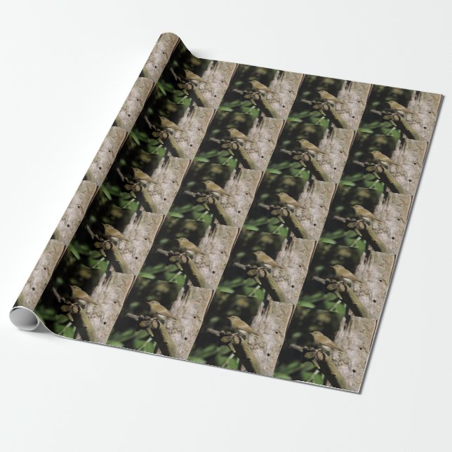 Phylloscopus collybita wrapping paper (Unrolled)