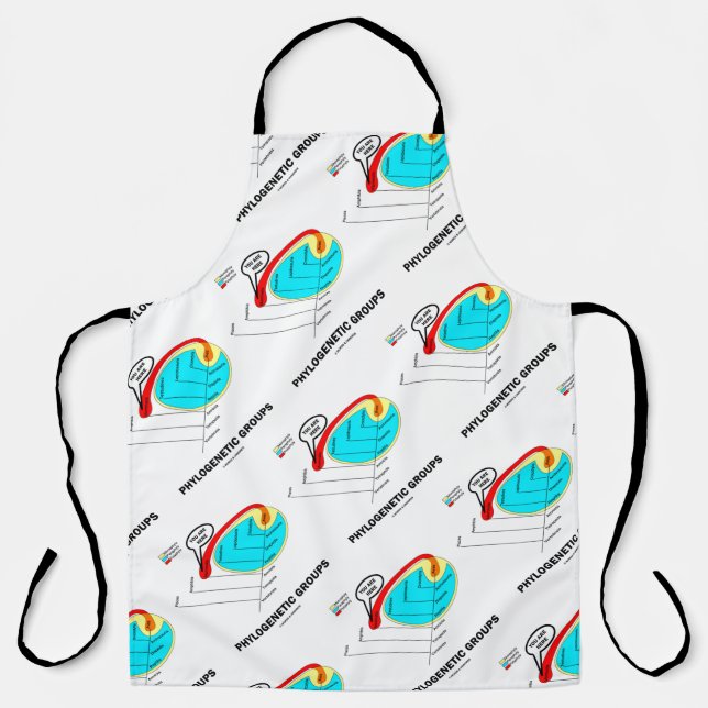 Phylogenetic Groups (Mammalia) You Are Here Apron (Front)
