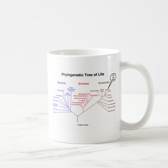 Phylogenetic Tree Of Life - You Are Here (Biology) Coffee Mug