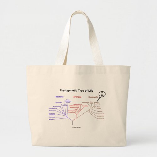 Phylogenetic Tree Of Life _ You Are Here Biology Large Tote Bag