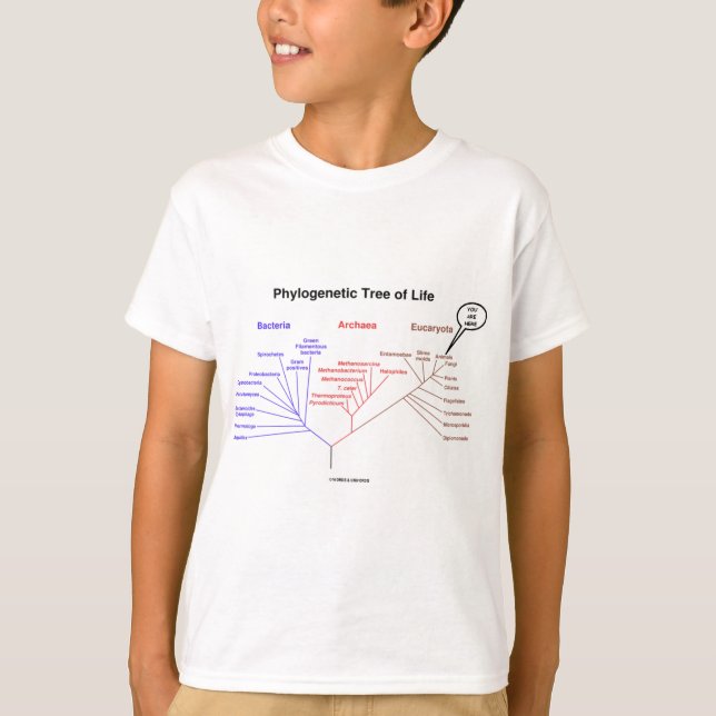 Phylogenetic Tree Of Life - You Are Here (Biology) T-Shirt (Front)