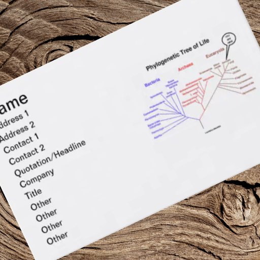 Customizable Phylogenetic Tree Of Life You Are Here Business Cards