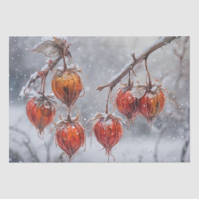 Physalis Fruit on a branch in the Snow Tissue Paper (Front)