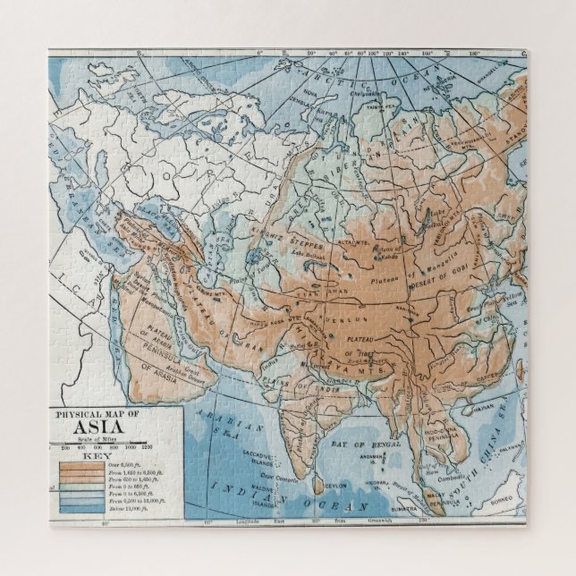 Physical Map of Asia (1916) Jigsaw Puzzle (Vertical)