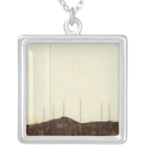 Physical picture of the slope silver plated necklace