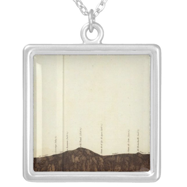 Physical picture of the slope silver plated necklace (Front)