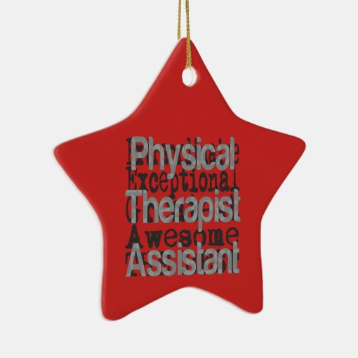 Physical Therapist Assistant Extraordinaire Ceramic Ornament Zazzle
