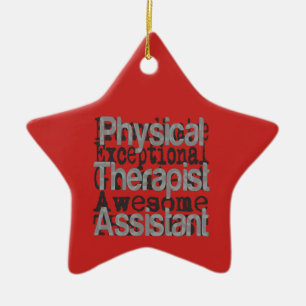 Physical Therapist Assistant Extraordinaire Ceramic Ornament