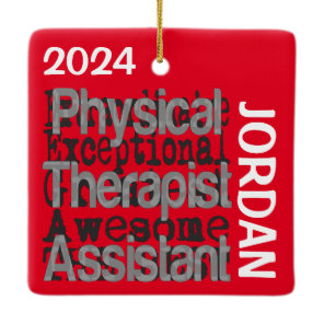 Physical Therapist Assistant Extraordinaire CUSTOM Ceramic Ornament
