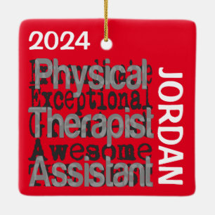Physical Therapist Assistant Extraordinaire CUSTOM Ceramic Ornament