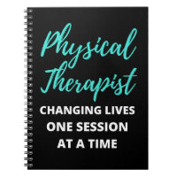 Physical Therapist Changing Lives One Session
