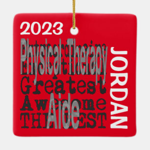 Physical Therapy Aide Extraordinaire CUSTOM Ceramic Ornament