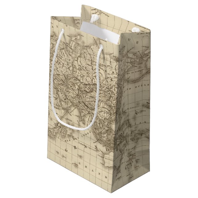 Physical world map small gift bag (Back Angled)