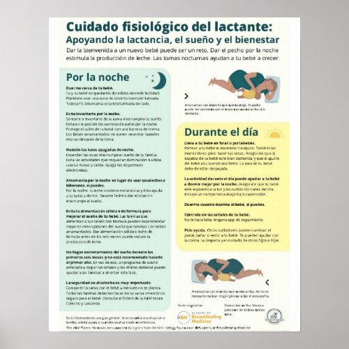 Physiologic Infant Care Poster Spanish