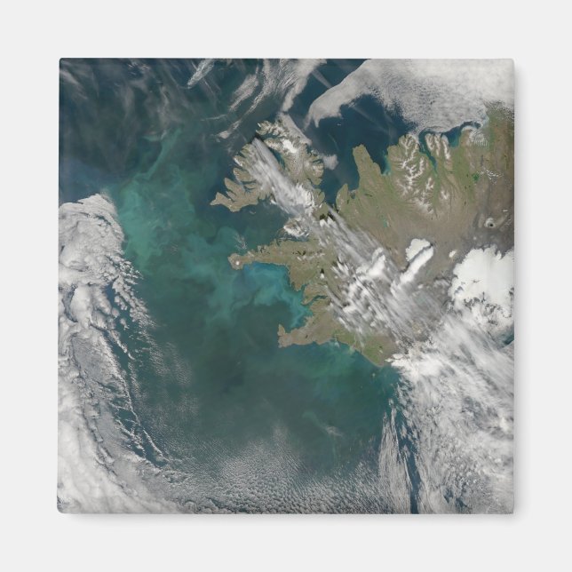 Phytoplankton bloom in the North Atlantic Ocean Magnet (Front)