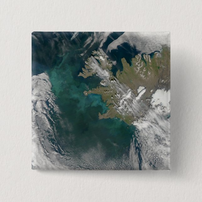 Phytoplankton bloom in the North Atlantic Ocean Pinback Button (Front)