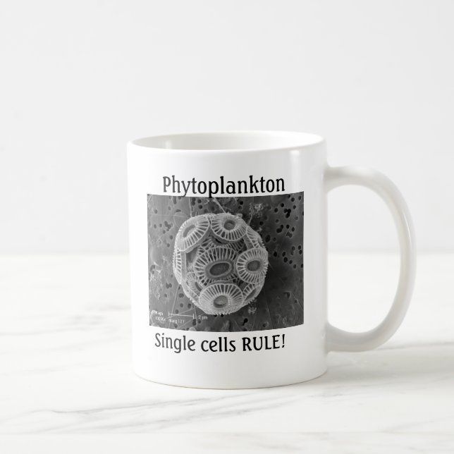 Phytoplankton, Single cells RULE! Coffee Mug (Right)