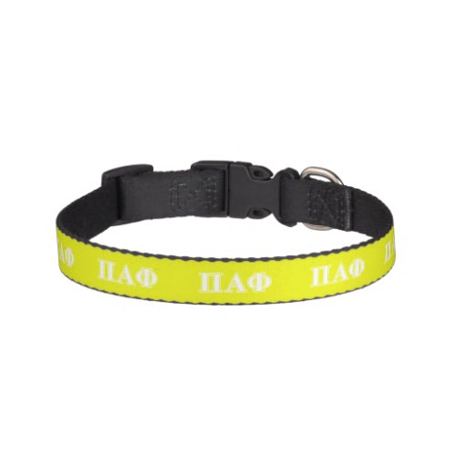 Pi Alpha Phi White and Yellow Letters Pet Collar