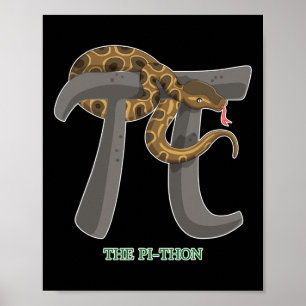 Pi Day Shirt Women Kids Men Toddler Math Teacher G Poster
