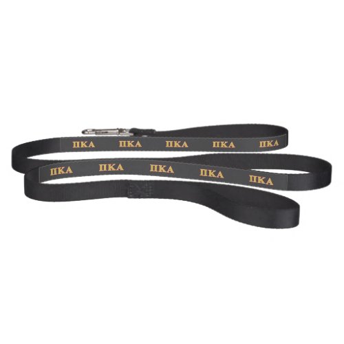 Pi Kappa Alpha Red and Gold Letters Pet Leash