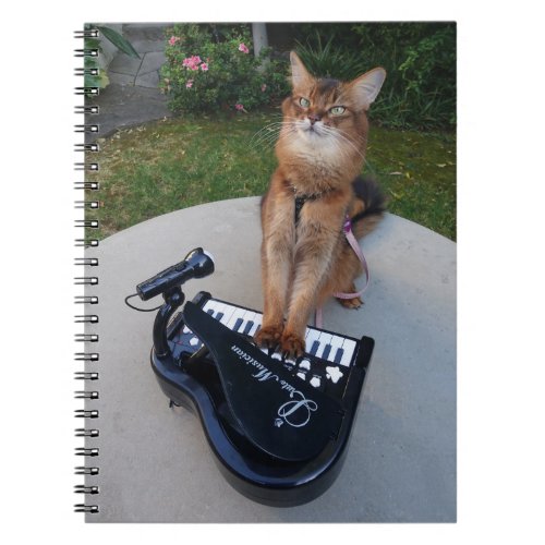 Piano Cat Funny Somali Cat Musician Playing Piano Notebook