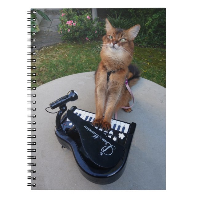 Piano Cat, Funny Somali Cat Musician Playing Piano Notebook (Front)