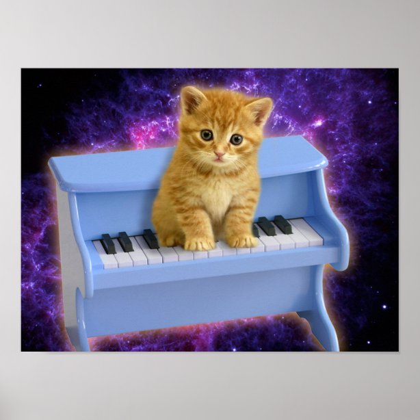 Песня кошек мяу мяу. Кошка на пианино. Кошечка играющая на фортепиано. Кошка играет на пианино. Happy Birthday кошка играет на пианино.